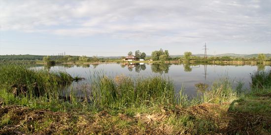 Balta Cocorenilor, Gorj